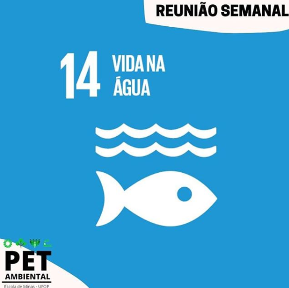 ods14