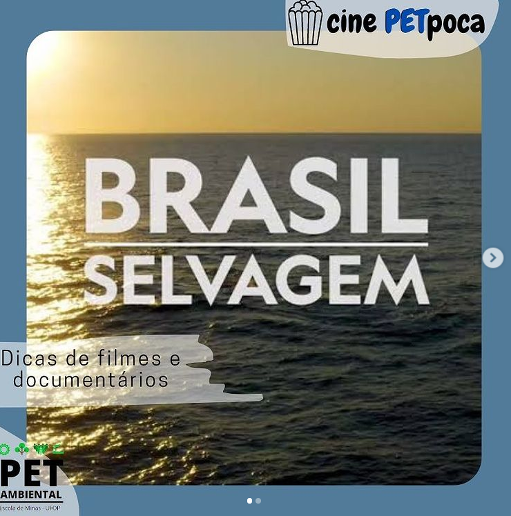 brasilselvagem.png