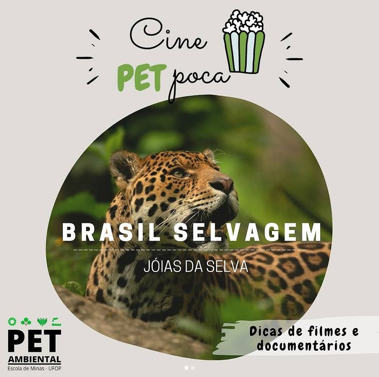 brasilselvagem_joiasdaselva.png