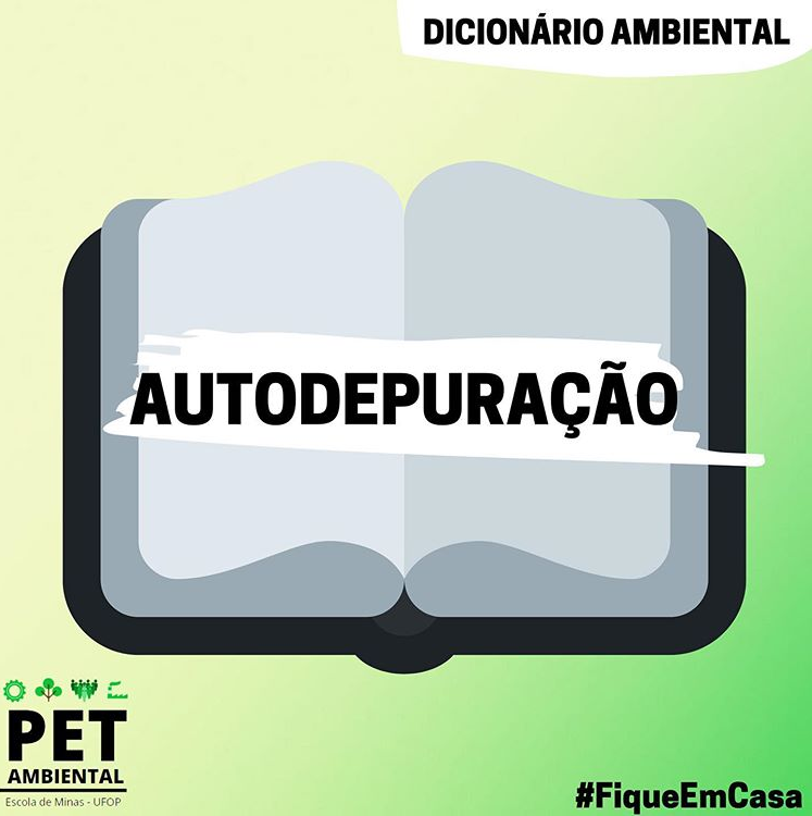 deicionarioamb-depuracao