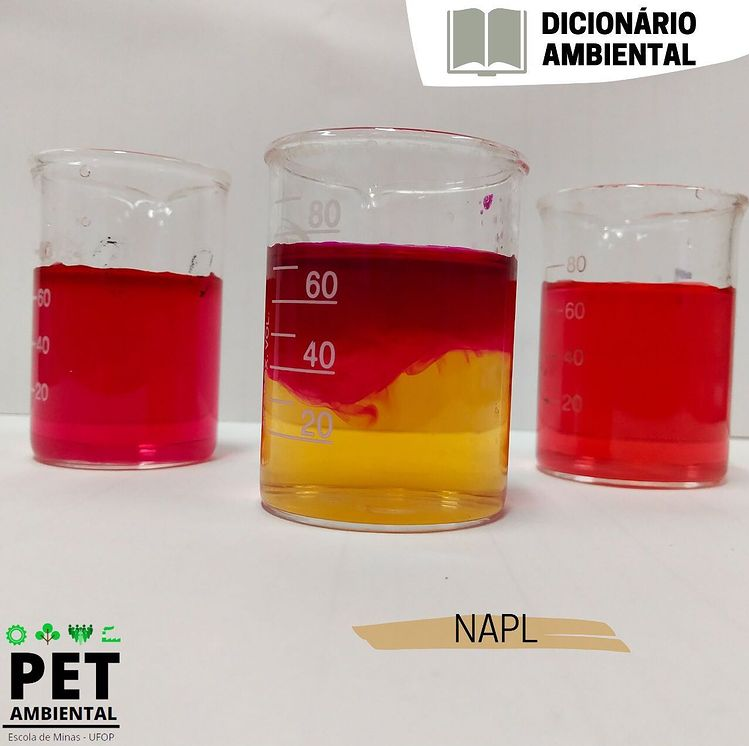 napl.png napl.png