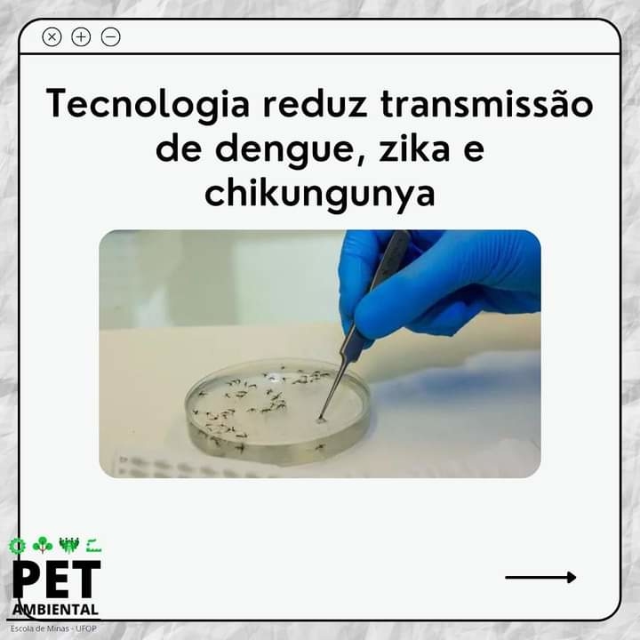Tecnologia promete reduzir a transmissão de dengue, zika e chikungunya