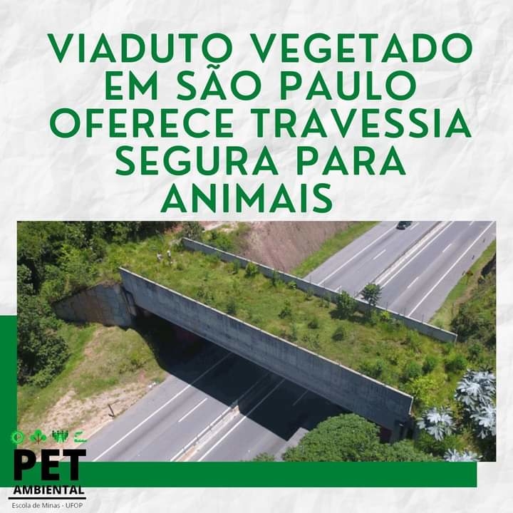 viaduto vegetado