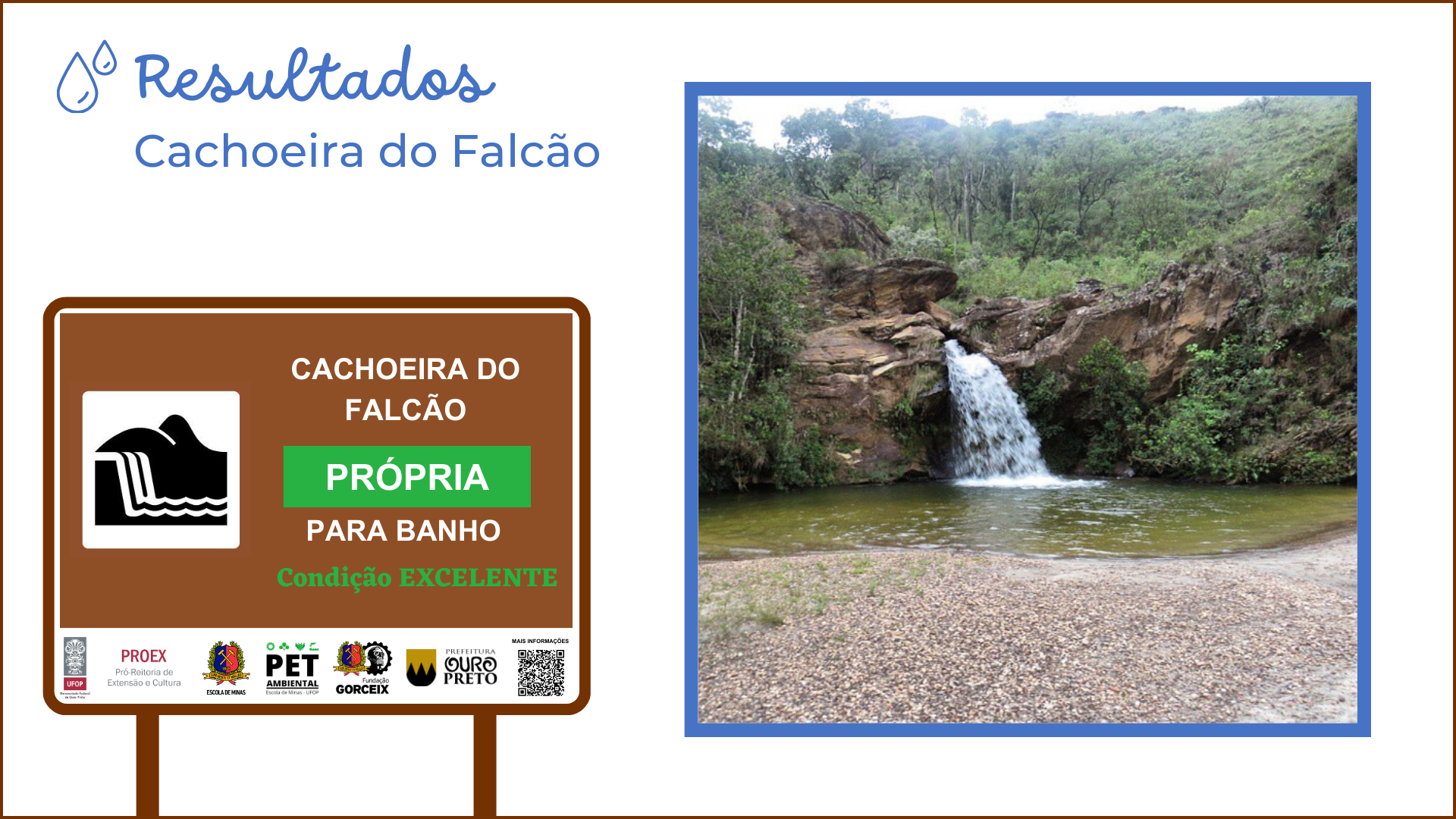 Falcão