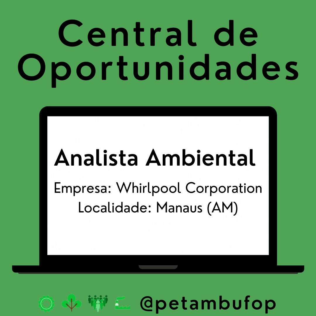 analista.AMB.15