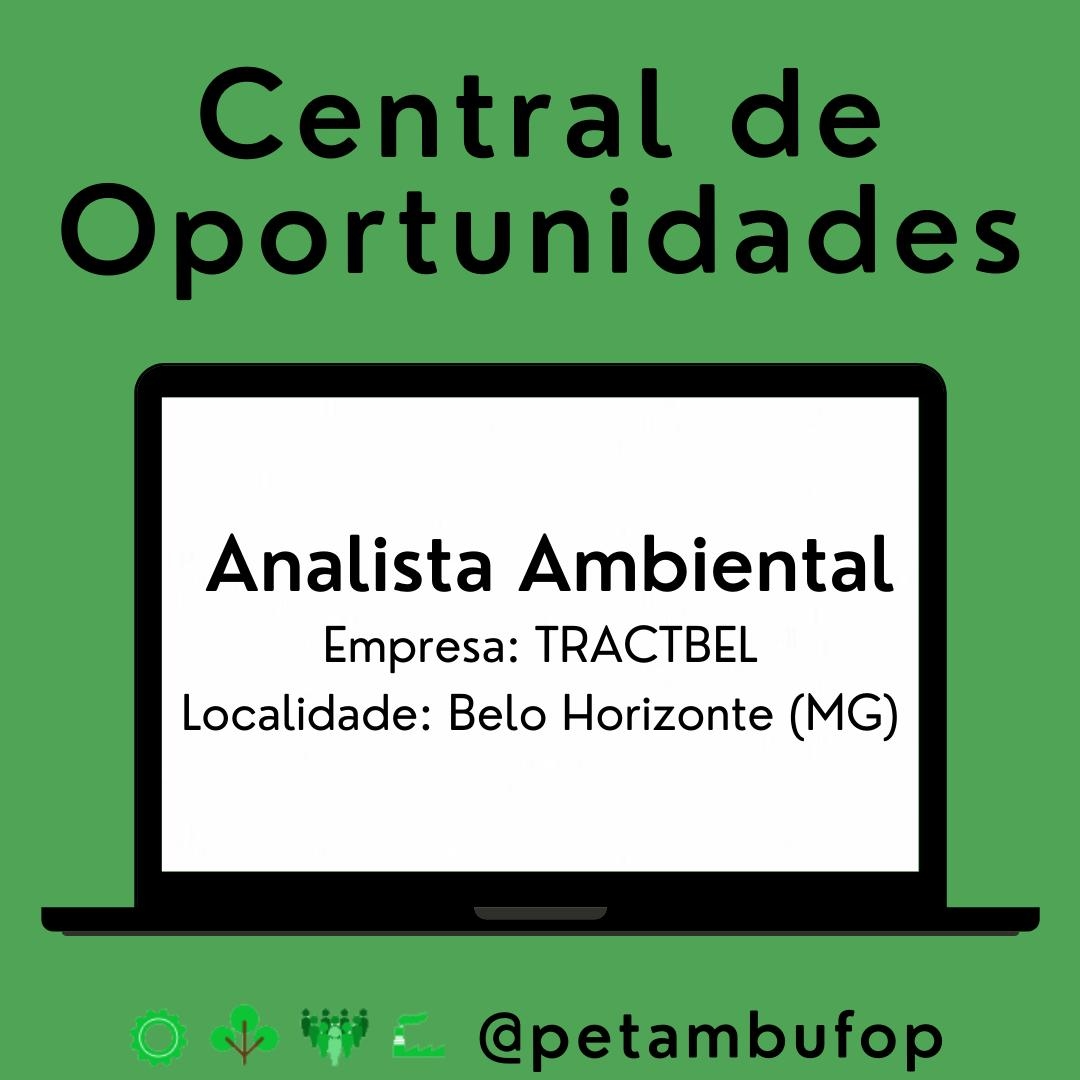 analista.AMB.bh.15