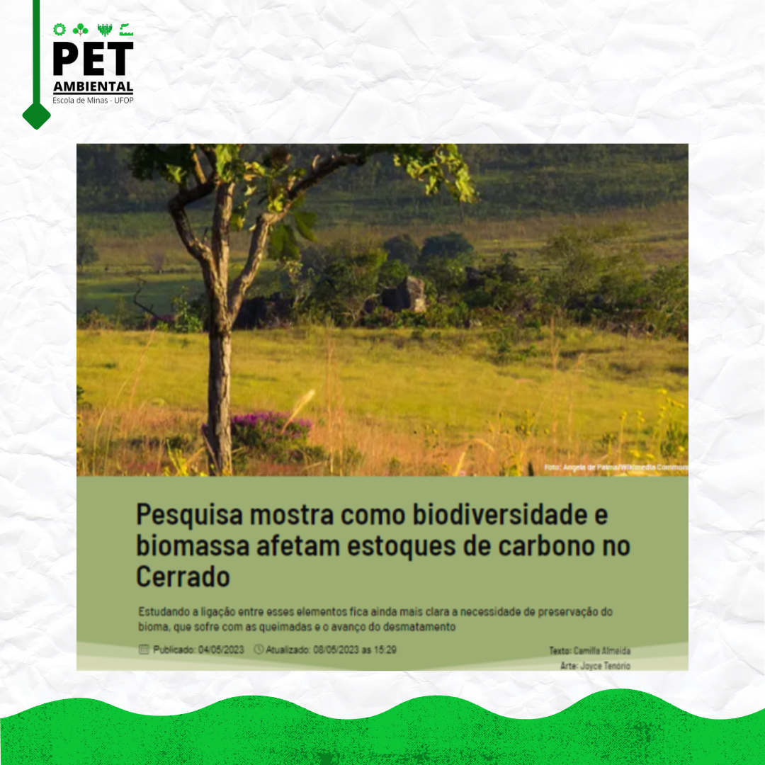 Pesquisa mostra como biodiversidade e biomassa afetam estoques de carbono no Cerrado