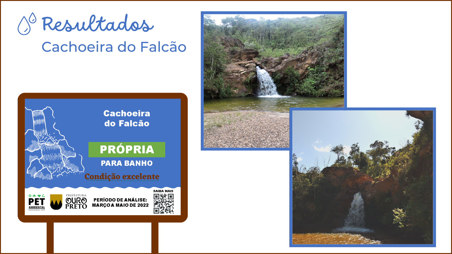 Falcão