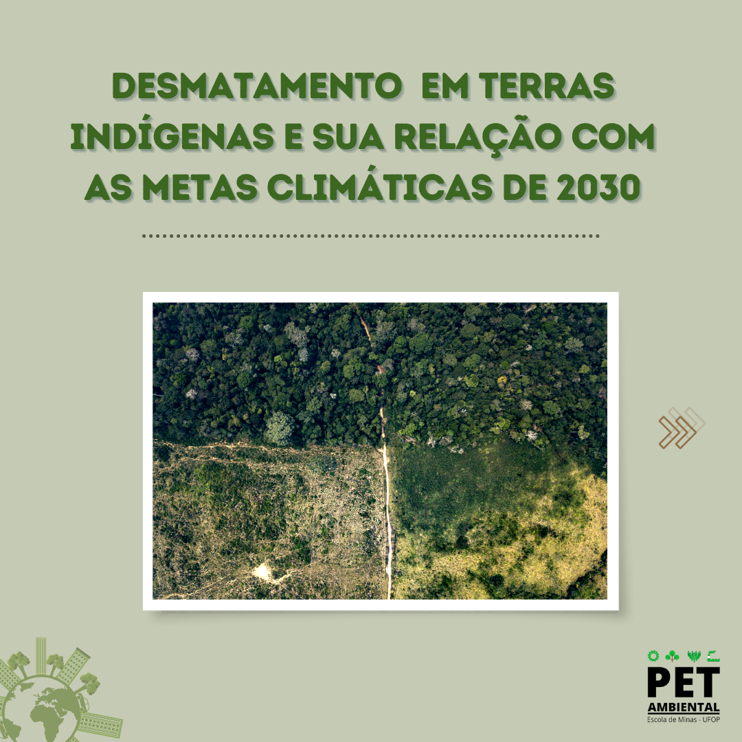 desmatamento_terras_indigenas_ameaca_metas_climaticas