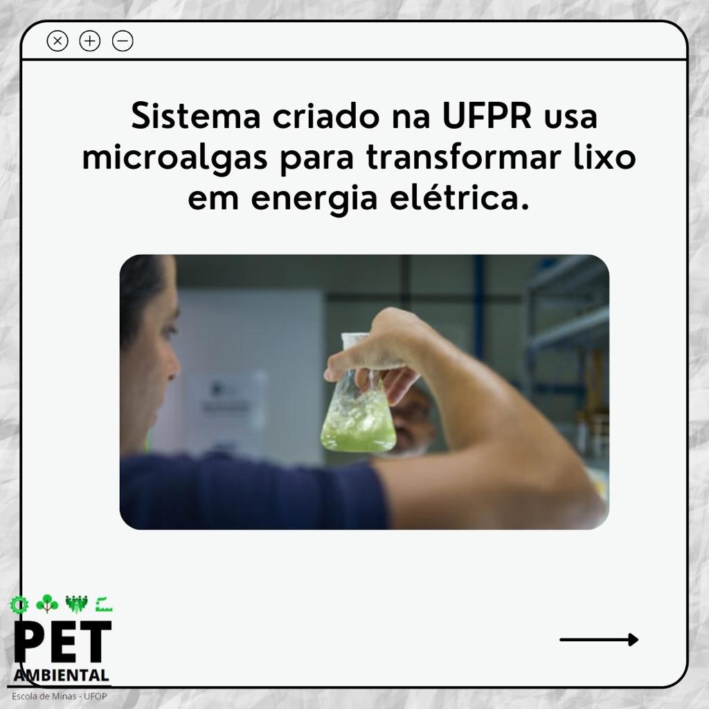 sistema criado na ufpr usa microalgas para transformar lixo em energia eletrica