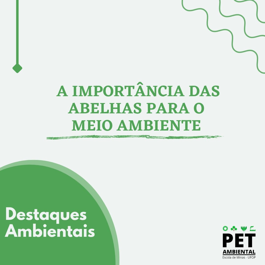 importância abelhas